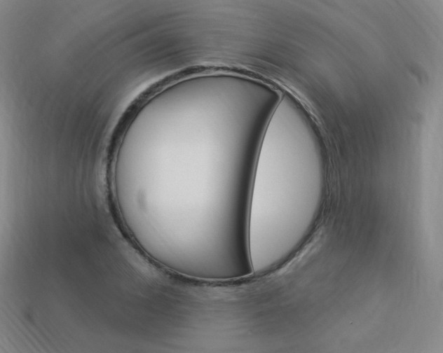 X0000114000976200910021027