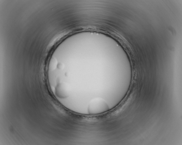 X0000114000978200910021027