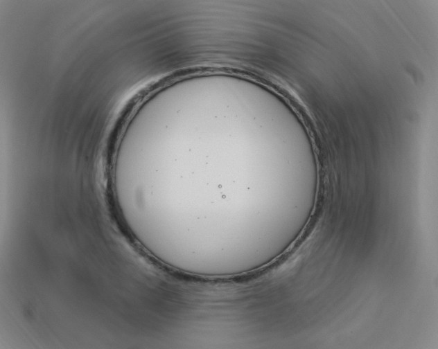 X0000114000979200910021027