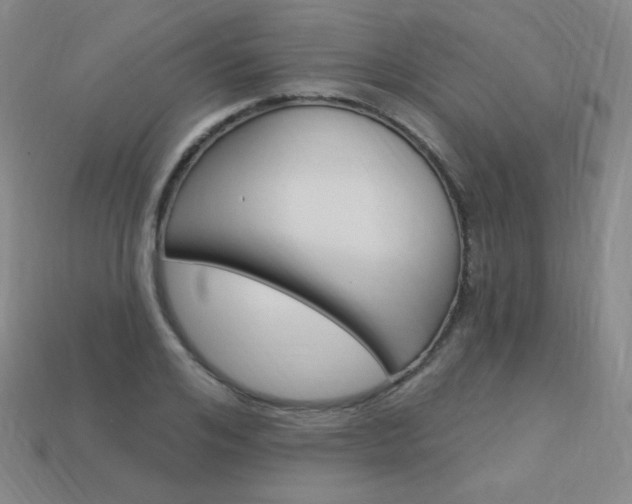 X0000114000984200910021027