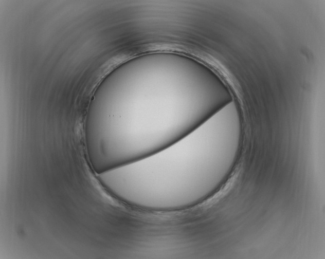X0000114000993200910021027