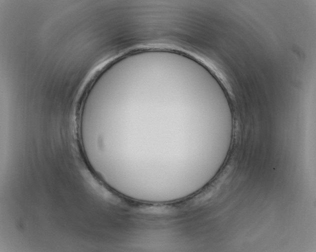 X0000114000998200910021027