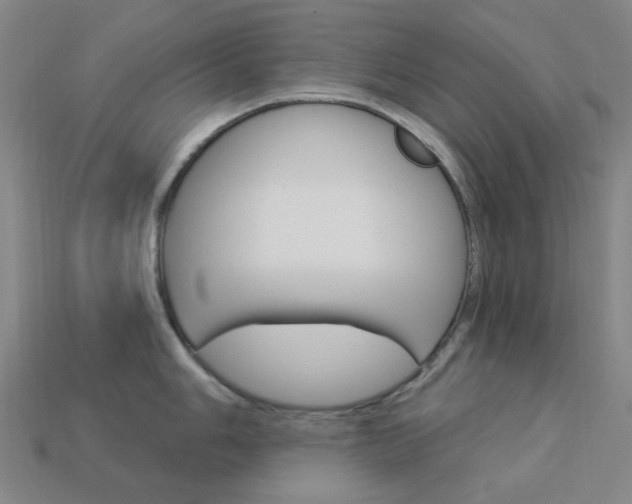 X0000114001006200910021026
