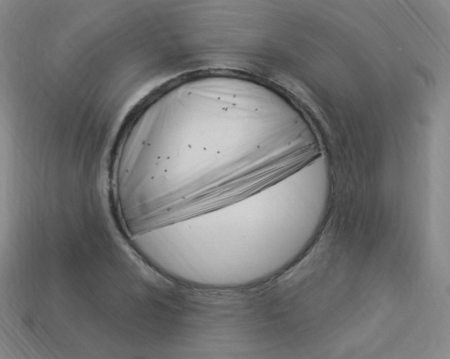 X0000114001024200910021026