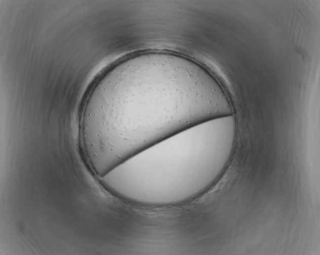 X0000114001032200910021026