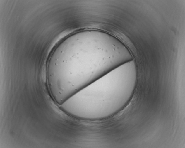 X0000114001036200910021026
