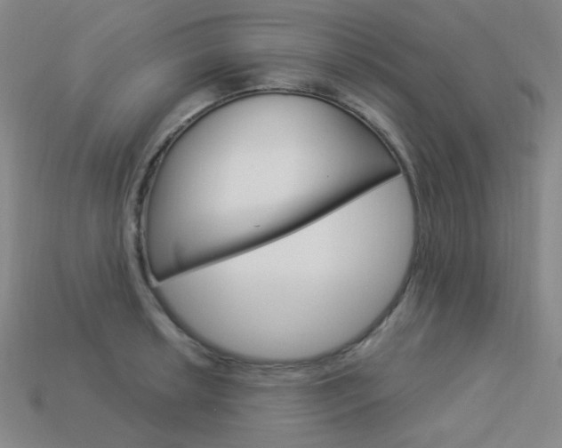 X0000114001042200910021026