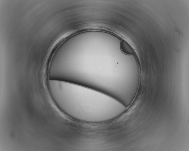 X0000114001045200910021026