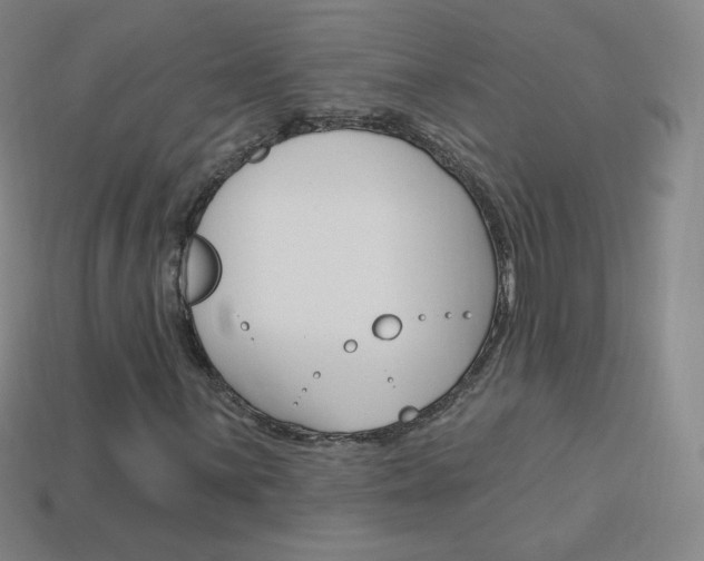 X0000114001059200910021026