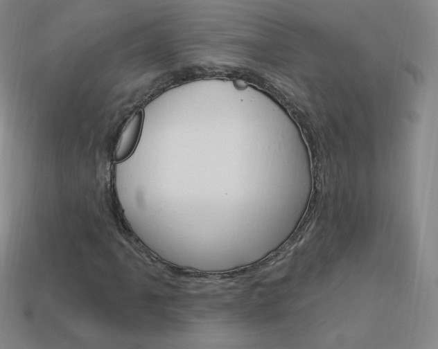 X0000114001061200910021026