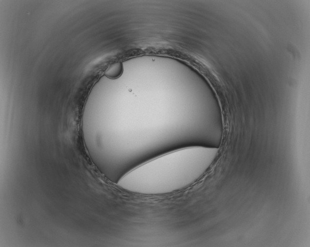 X0000114001063200910021026