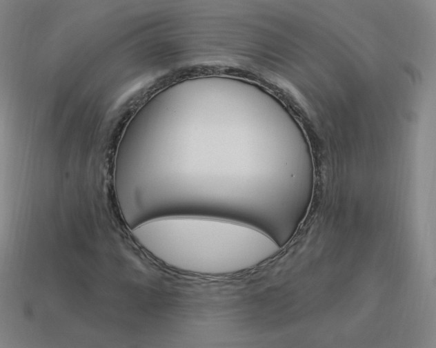 X0000114001064200910021026