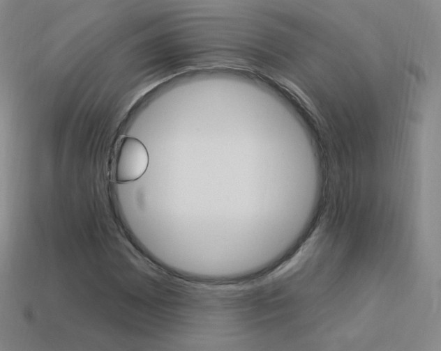X0000114001065200910021026