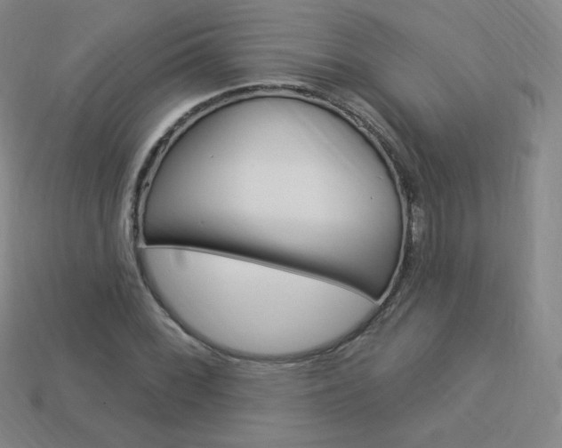 X0000114001068200910021026
