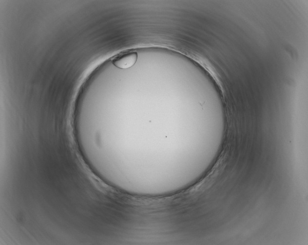 X0000114001072200910021026