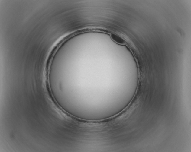 X0000114001076200910021026