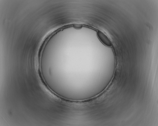 X0000114001080200910021026