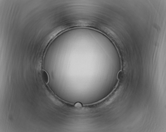 X0000114001081200910021026