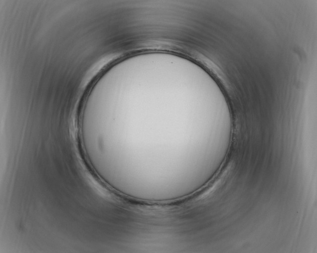 X0000114001082200910021026