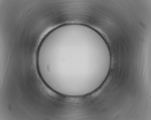 X0000114001086200910021025