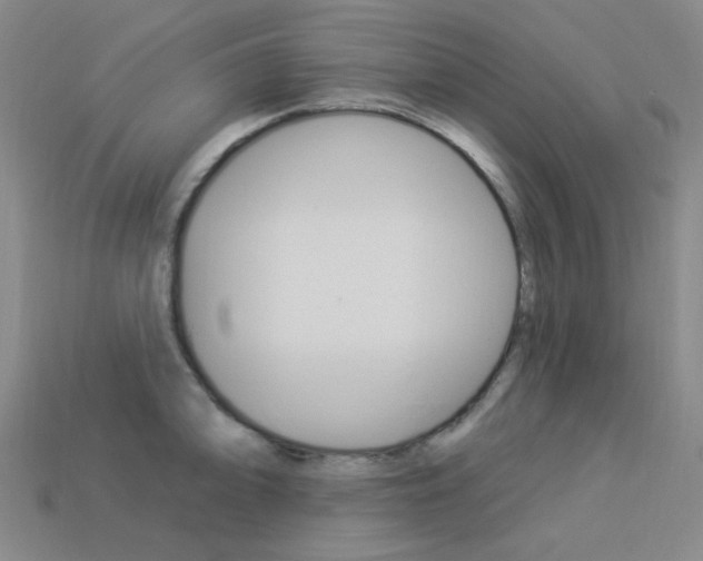 X0000114001094200910021025