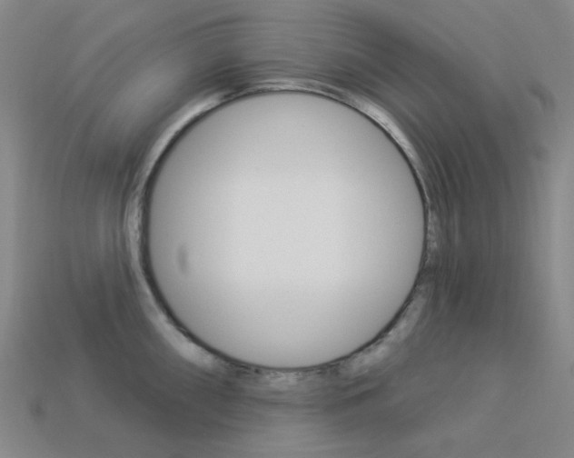 X0000114001098200910021025