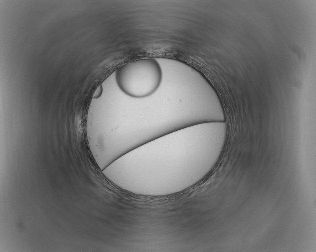X0000114001106200910021025