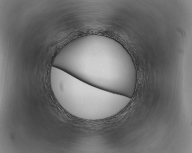 X0000114001109200910021025