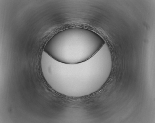 X0000114001110200910021025