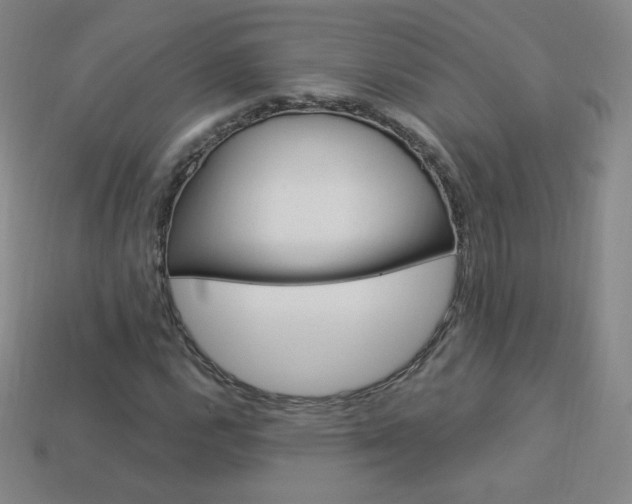 X0000114001112200910021025