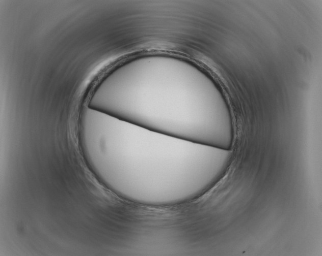 X0000114001115200910021025