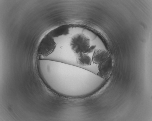 X0000114001117200910021025