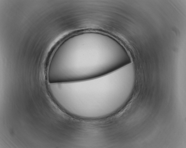X0000114001118200910021025
