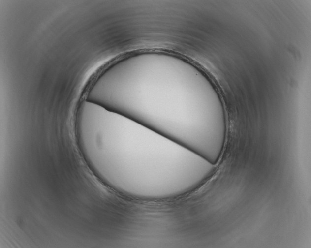 X0000114001119200910021025