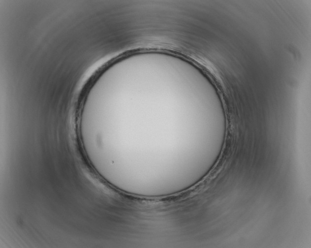 X0000114001120200910021025