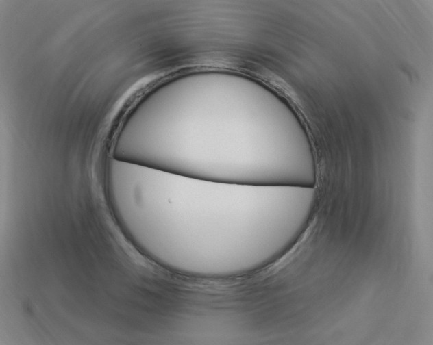 X0000114001123200910021025