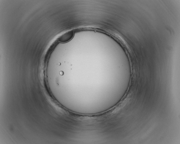 X0000114001124200910021025