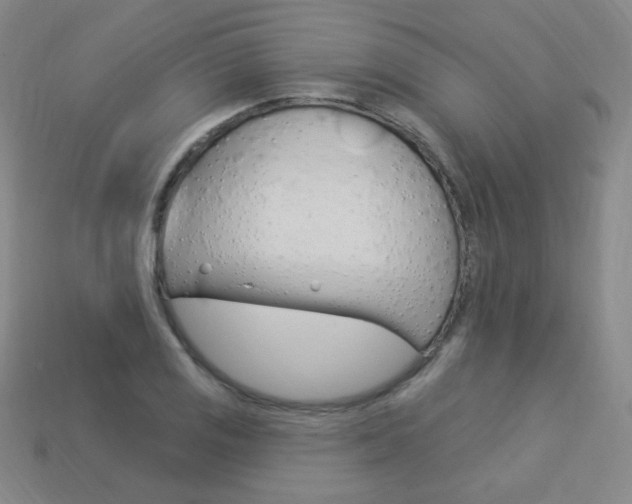 X0000114001125200910021025