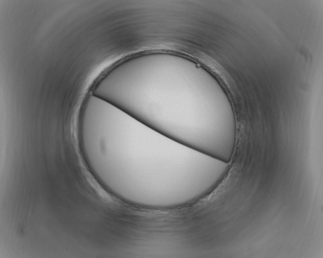 X0000114001127200910021025