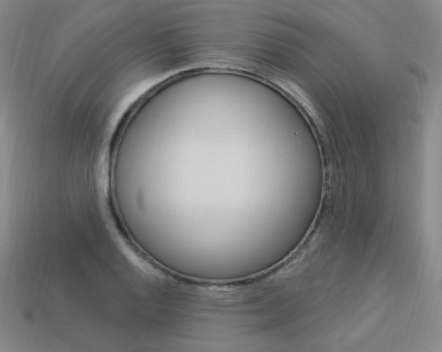 X0000114001128200910021025