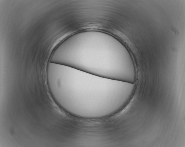 X0000114001129200910021025