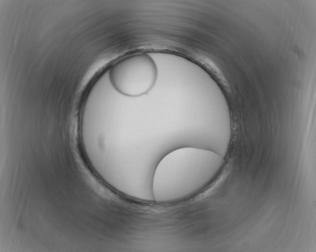 X0000114001130200910021025