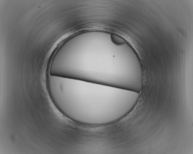 X0000114001139200910021025