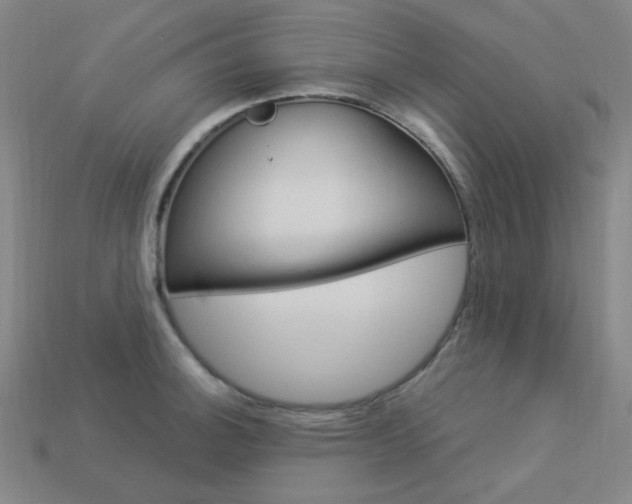 X0000114001140200910021025