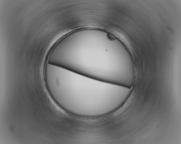X0000114001141200910021025