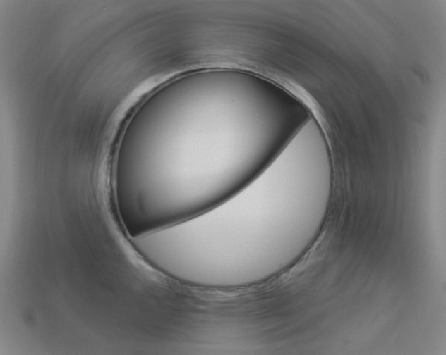 X0000114001144200910021025
