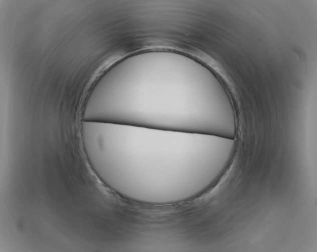 X0000114001145200910021025