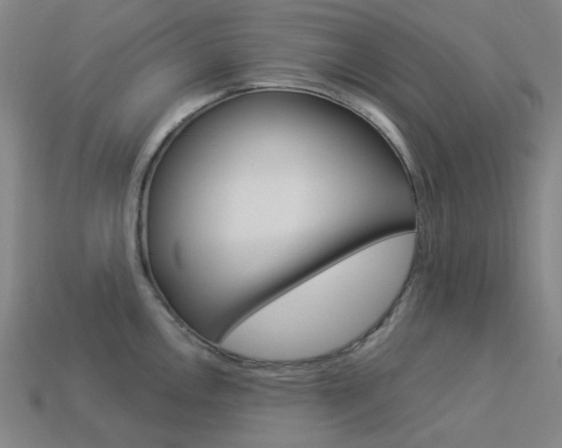 X0000114001146200910021025