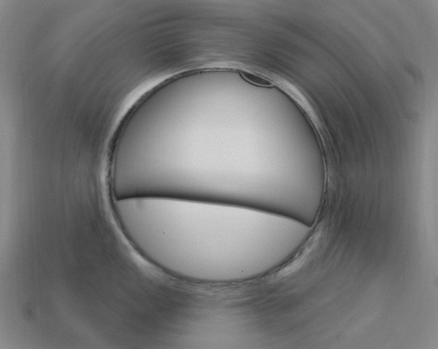 X0000114001149200910021025