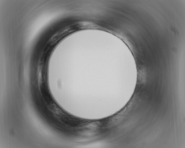 X0000114001150200910021025